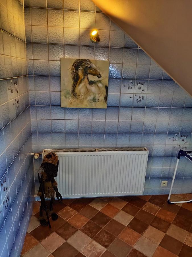 Penzion U Krtka Kraslice Luaran gambar